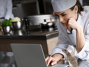 online level 2 food safety training